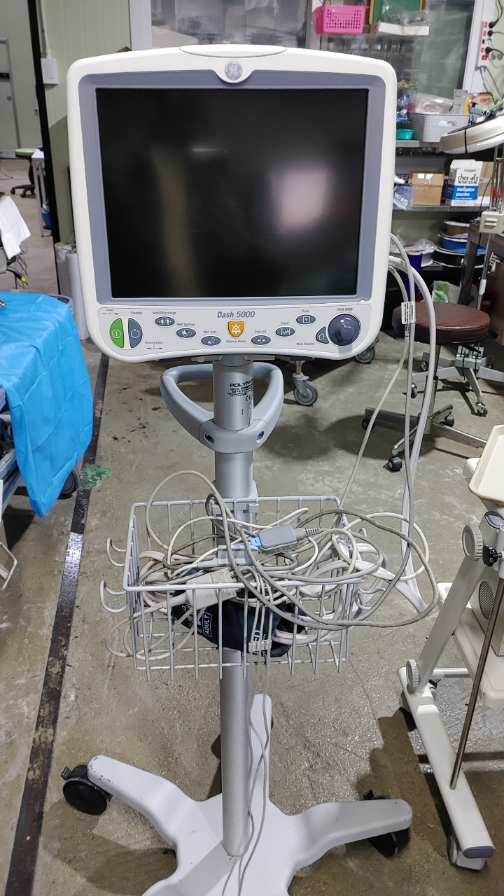 GE Dash 5000 Patient Monitor