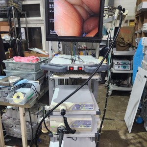 Olympus CV-260 Evis Lucera Video Endoscopy System