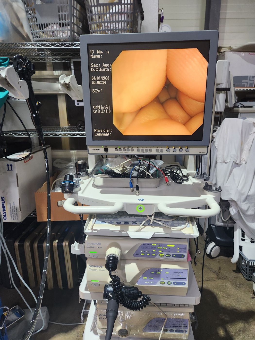 Olympus CF-Q260AL Colonoscope