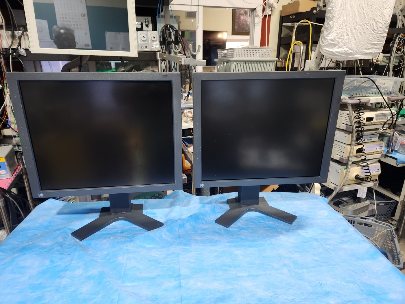 EIZO 의료용 (Medical) 초정밀 흑백모니터 RadiForce GS521