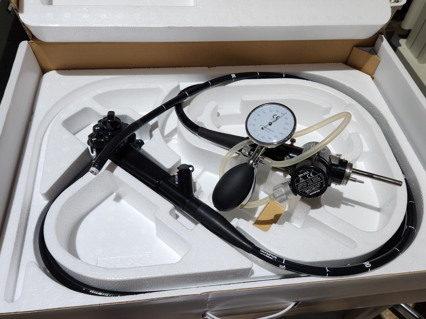 Olympus Dual Channel GIF-2T240 Gastroscope