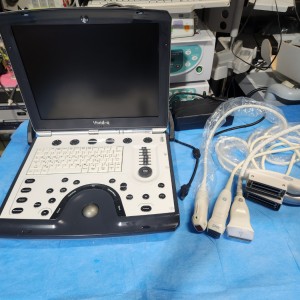 GE Vivid Q Portable Ultrasound