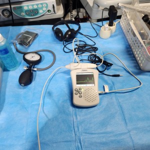Vet Vascular Doppler 동물용 도플러 혈압계