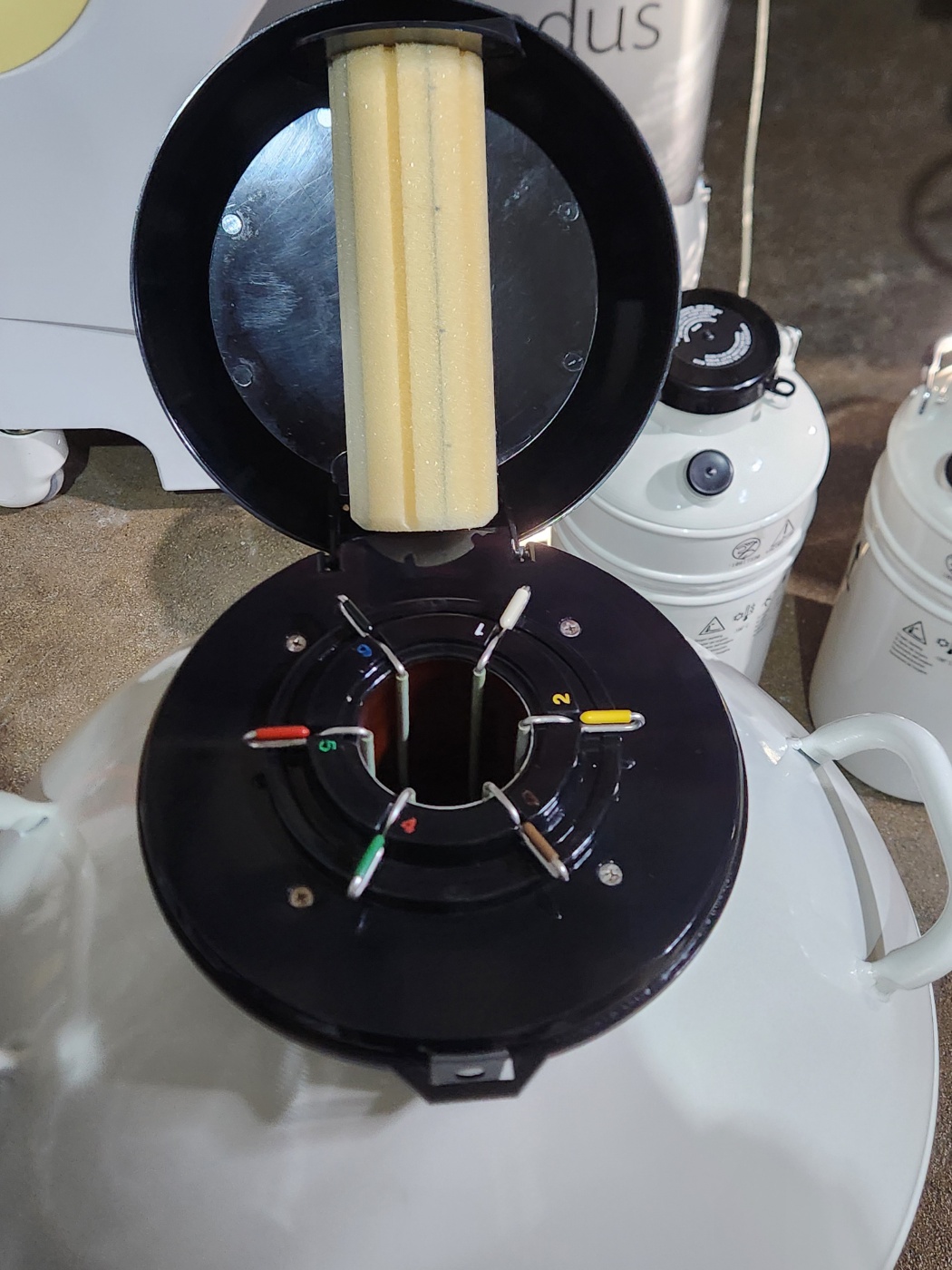 MVE XC 43/28 Cryogenic Freezer