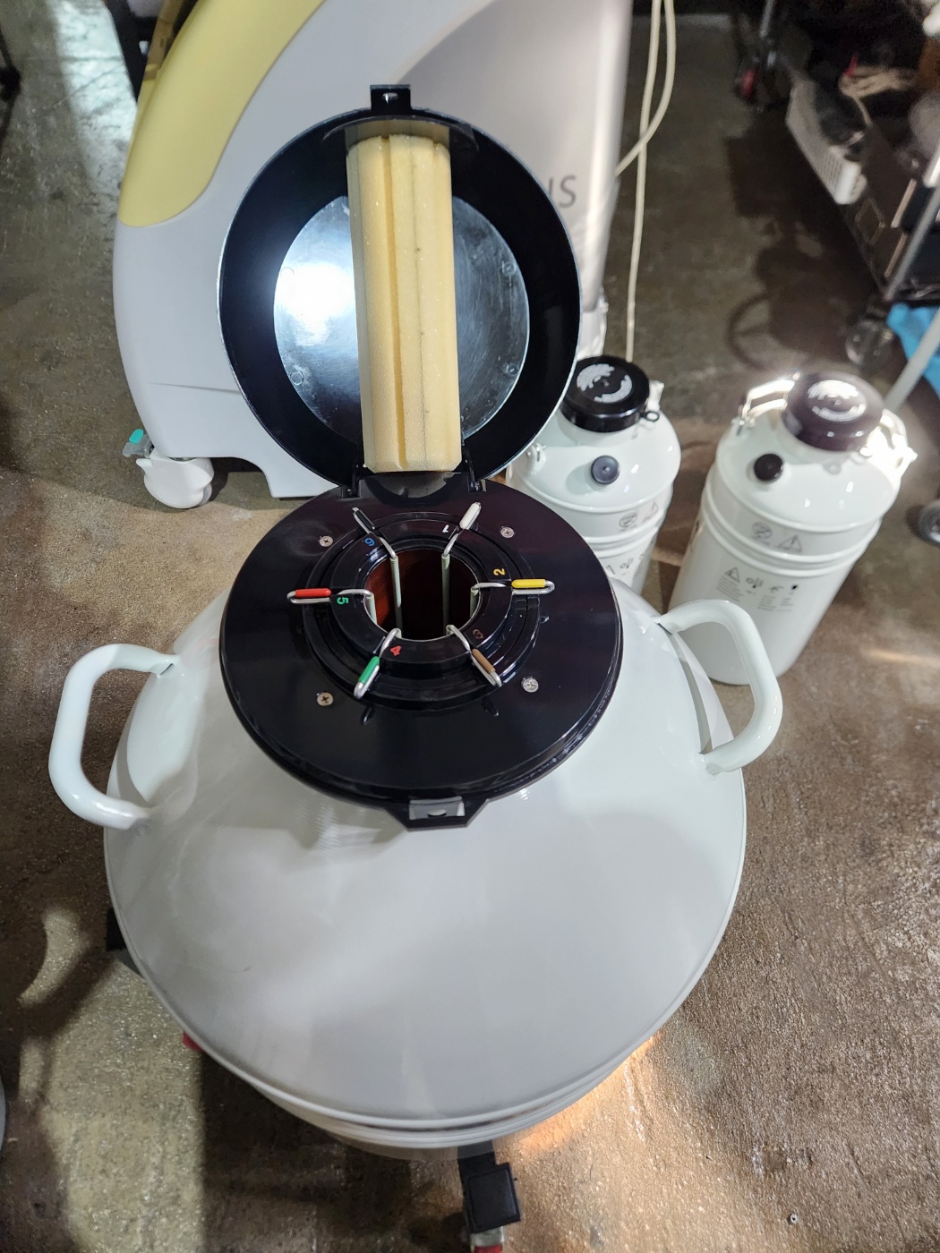 MVE XC 43/28 Cryogenic Freezer