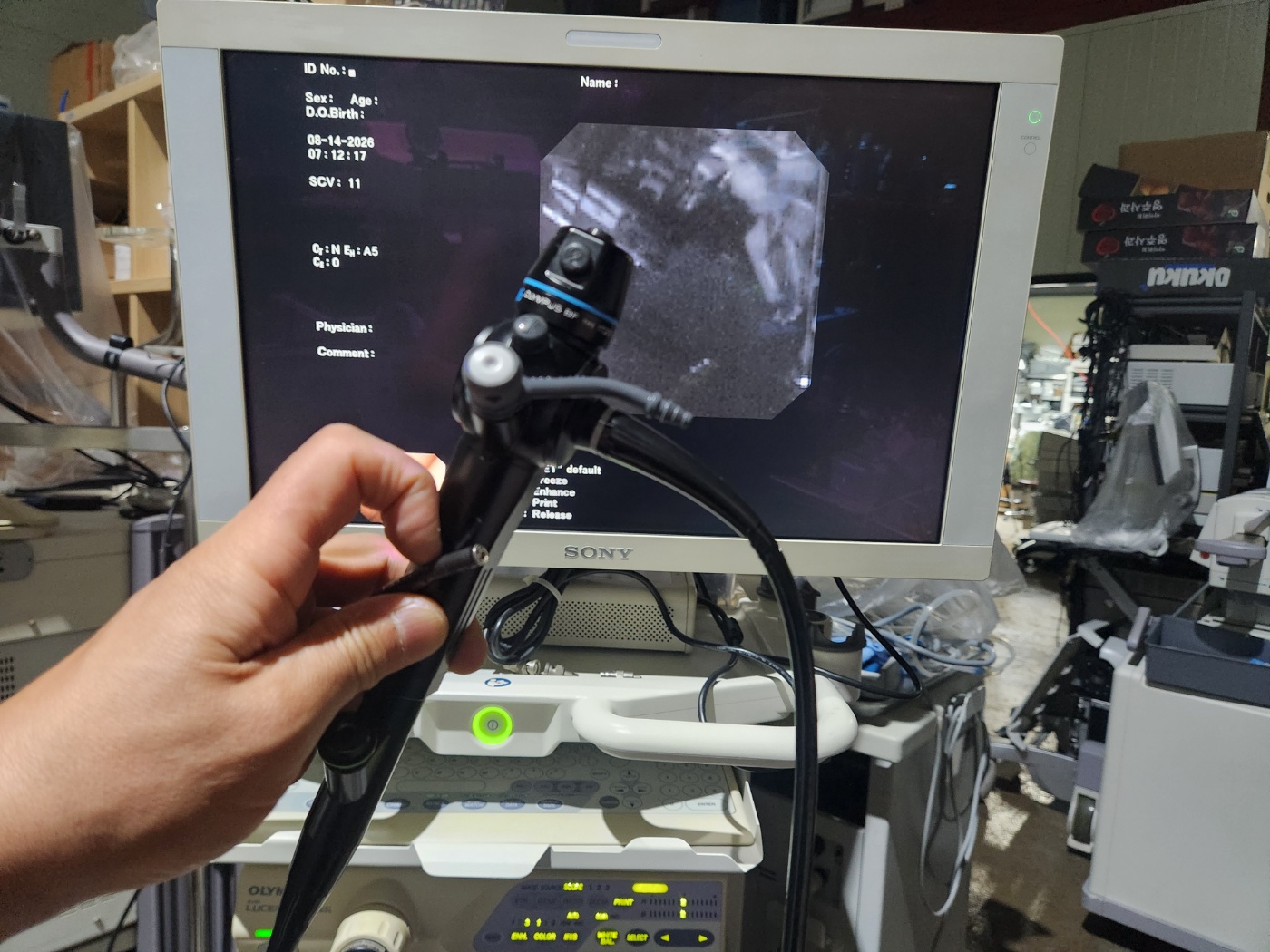 Olympus BF-1T200 Video Bronchoscope