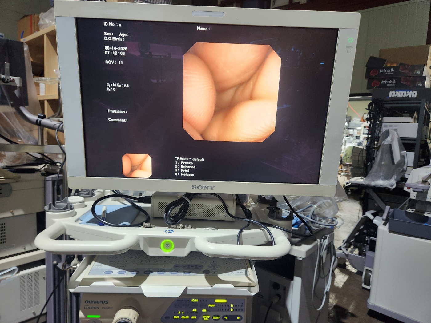 Olympus BF-1T200 Video Bronchoscope