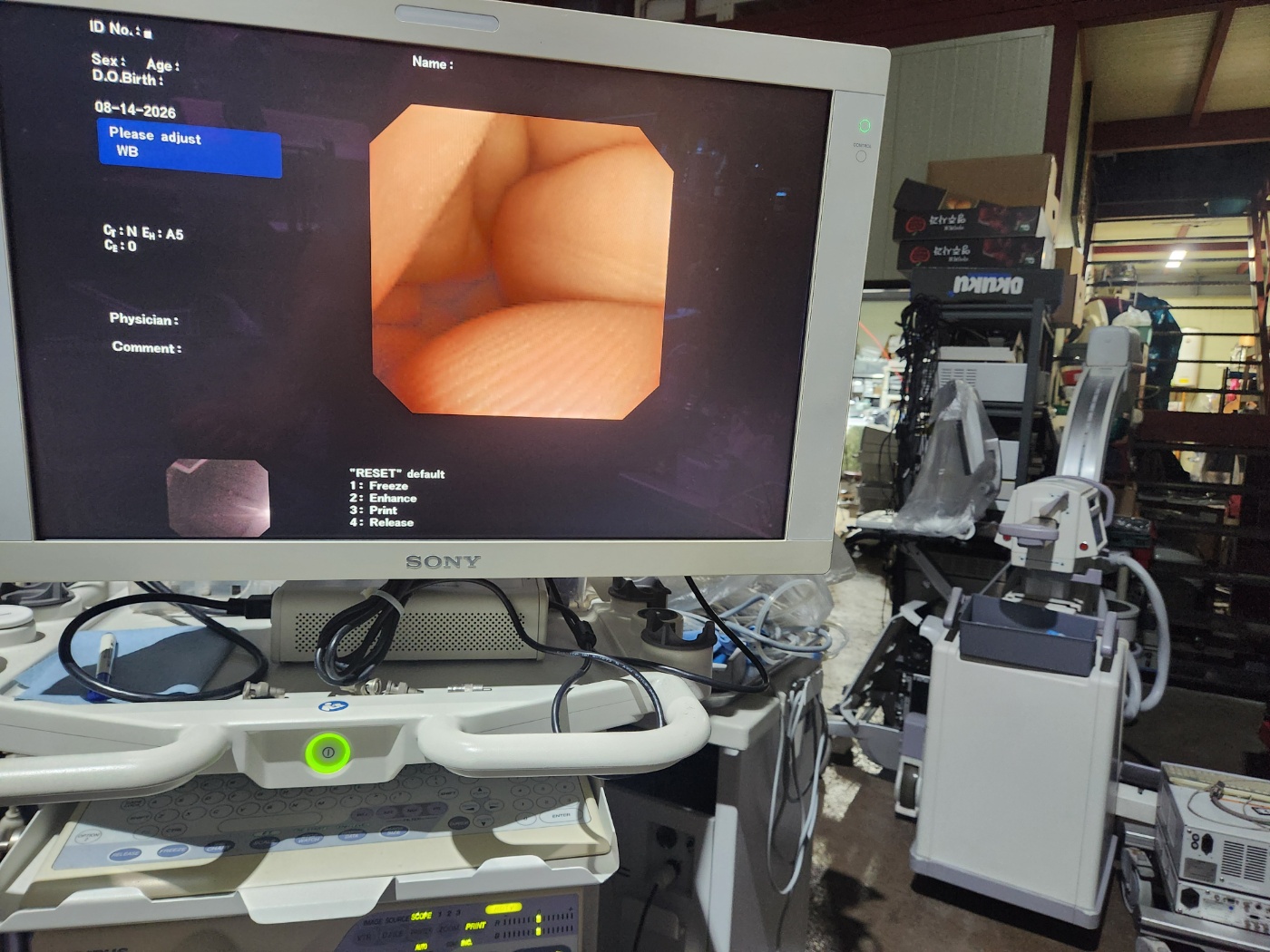 Olympus BF-1T200 Video Bronchoscope