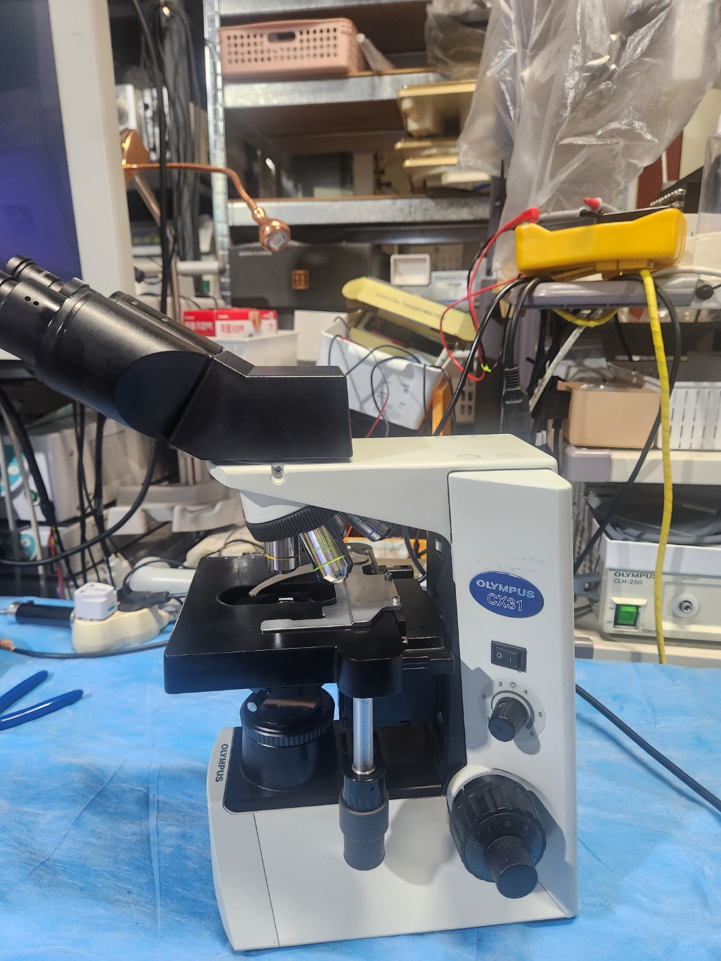 Olympus CX-31 Microscope