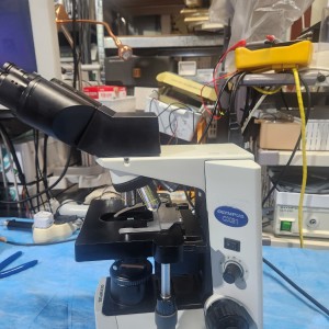 Olympus CX-31 Microscope