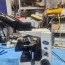 Olympus CX-31 Microscope